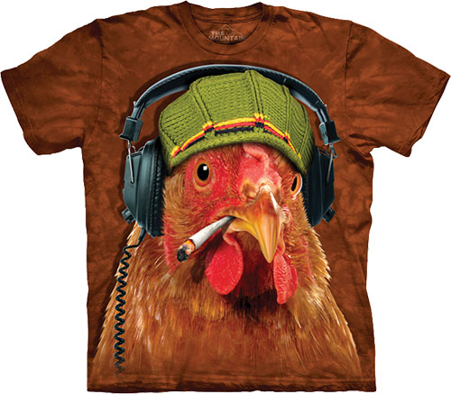  The Mountain - DJ Fried Chicken
