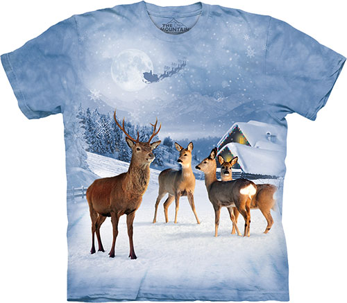  The Mountain - Deer in Winter