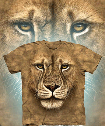  The Mountain - Lion Warrior - 