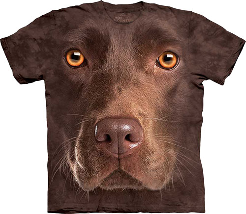  The Mountain - Chocolate Lab Face - 
