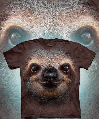  The Mountain - Sloth Face