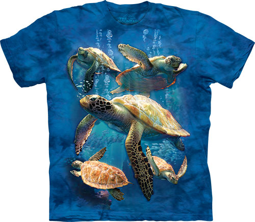  The Mountain - Sea Turtle Family