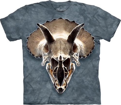  The Mountain - Triceratops Skull