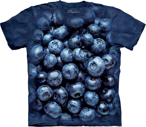  The Mountain - Blueberries - 2014