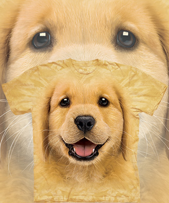  The Mountain - Golden Retriever Puppy -  