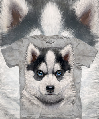  The Mountain - Siberian Husky Puppy - 