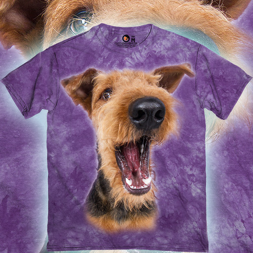 Excited Airedale Terrier  