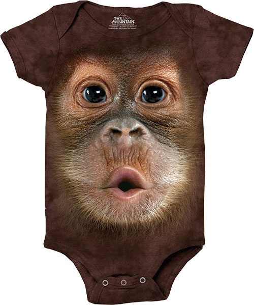  The Mountain - Big Face Baby Orangutan