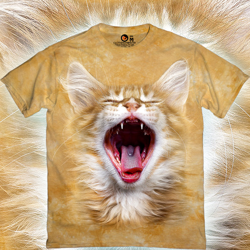  - Yawning Cat