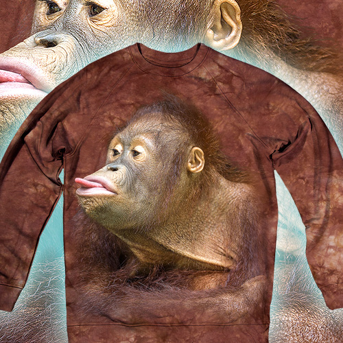  - Orangutan Blowing a Raspberry
