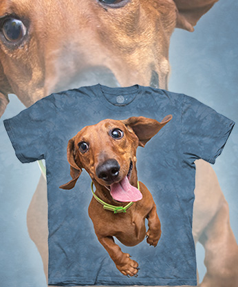  The Mountain - Flying Dachshund - 